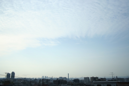 d0131006_22195579.jpg