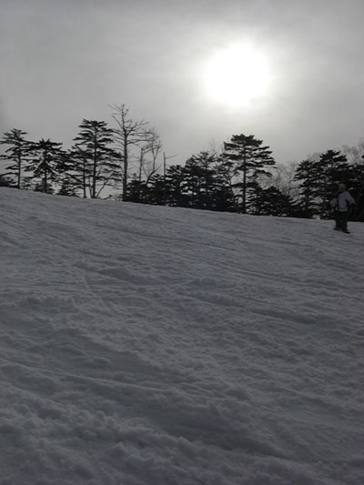 a0041508_23102554.jpg