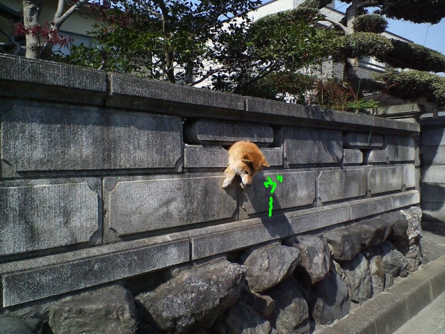 c0113109_21392925.jpg