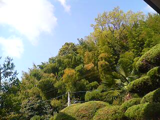 c0129314_8343890.jpg