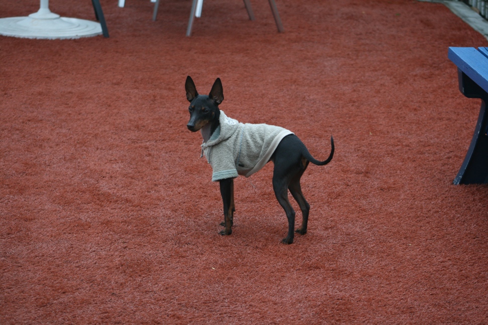 c0003217_12515739.jpg