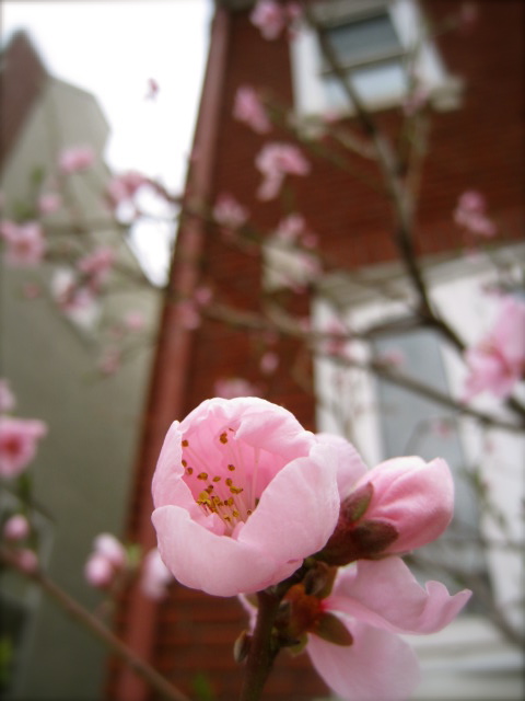 c0120817_644536.jpg