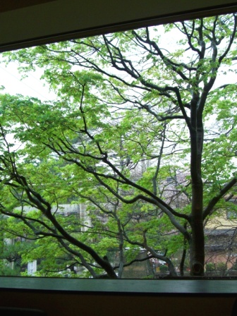 e0119122_19293737.jpg
