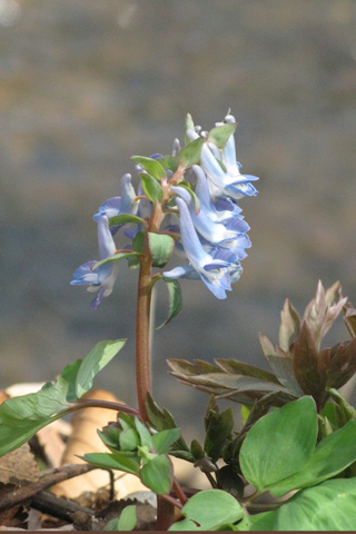 e0001123_22472539.jpg