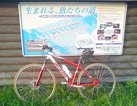 c0031126_2273940.jpg