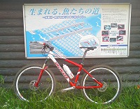 c0031126_2282931.jpg