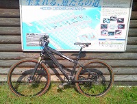 c0031126_2284616.jpg