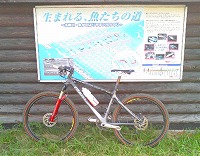 c0031126_228868.jpg
