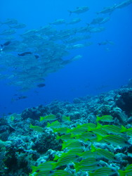 b0063132_22261457.jpg