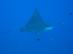 b0063132_22271599.jpg