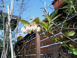 d0140133_21192015.jpg