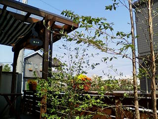 d0140133_211966.jpg