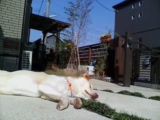 d0140133_21263686.jpg