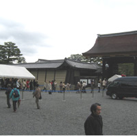 d0033734_1656539.jpg