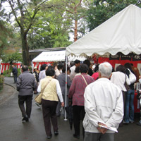 d0033734_16571578.jpg