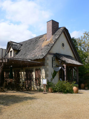 f0061334_2211777.jpg
