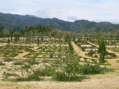 f0061334_2222297.jpg
