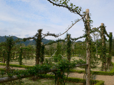 f0061334_2222869.jpg