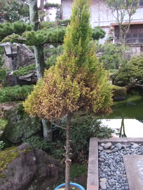 d0150739_2041738.jpg