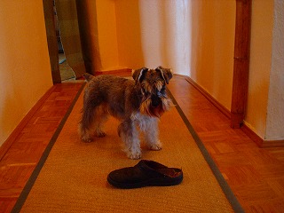 c0153740_2184966.jpg