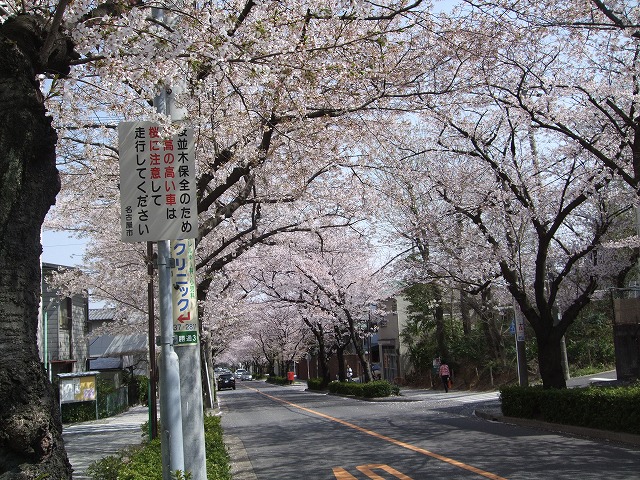 c0076442_15493316.jpg