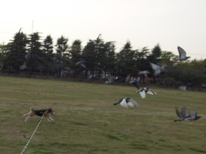 c0119142_23493354.jpg