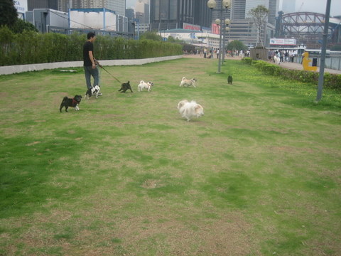 e0018143_411115.jpg