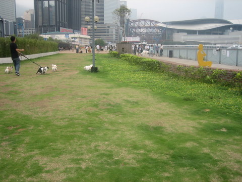 e0018143_4121037.jpg