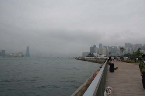 e0018143_484320.jpg
