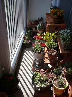 c0137145_154155.jpg