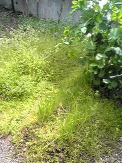 e0023845_23321174.jpg