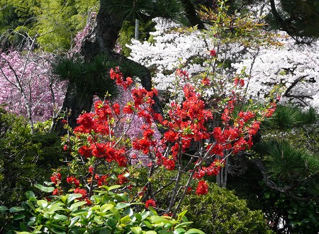 c0057946_2025551.jpg