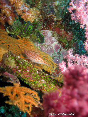 e0027447_214168.jpg