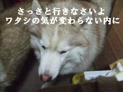 e0121548_222133.jpg