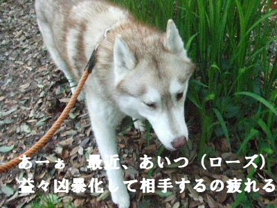 e0121548_22262420.jpg