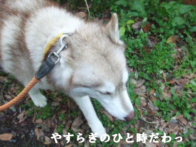e0121548_22281331.jpg