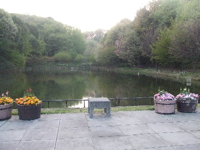 e0121548_22284350.jpg
