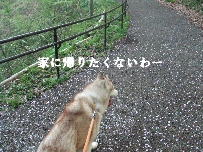 e0121548_22291726.jpg