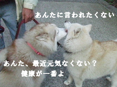 e0121548_22412538.jpg