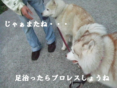 e0121548_22415015.jpg