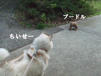 e0121548_22441463.jpg