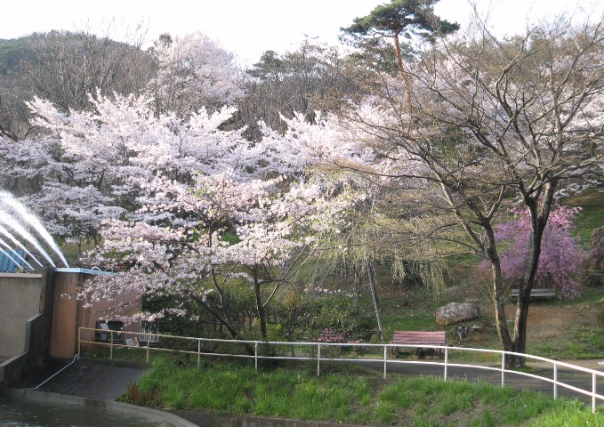 a0009750_16555737.jpg