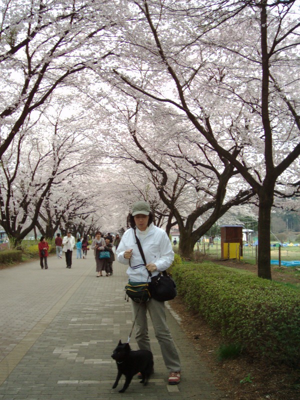 a0009750_16573716.jpg