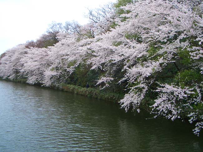 e0002850_053397.jpg