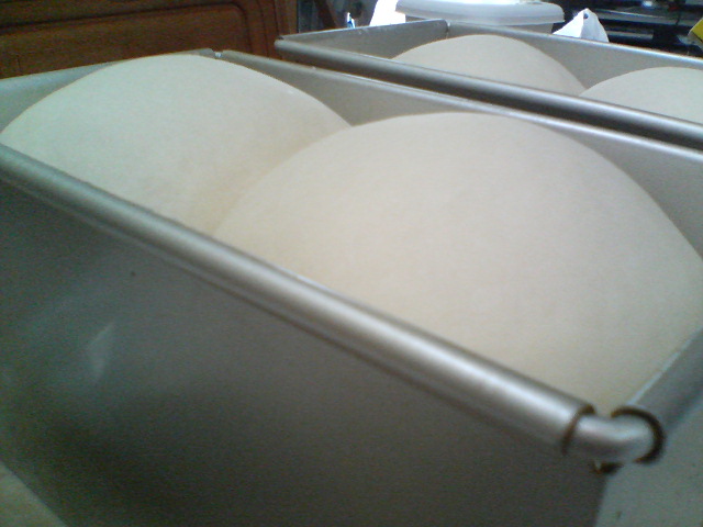 d0124952_21252246.jpg