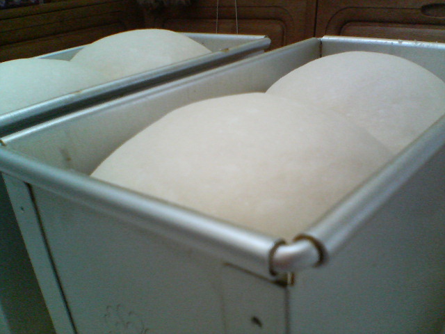 d0124952_21253955.jpg