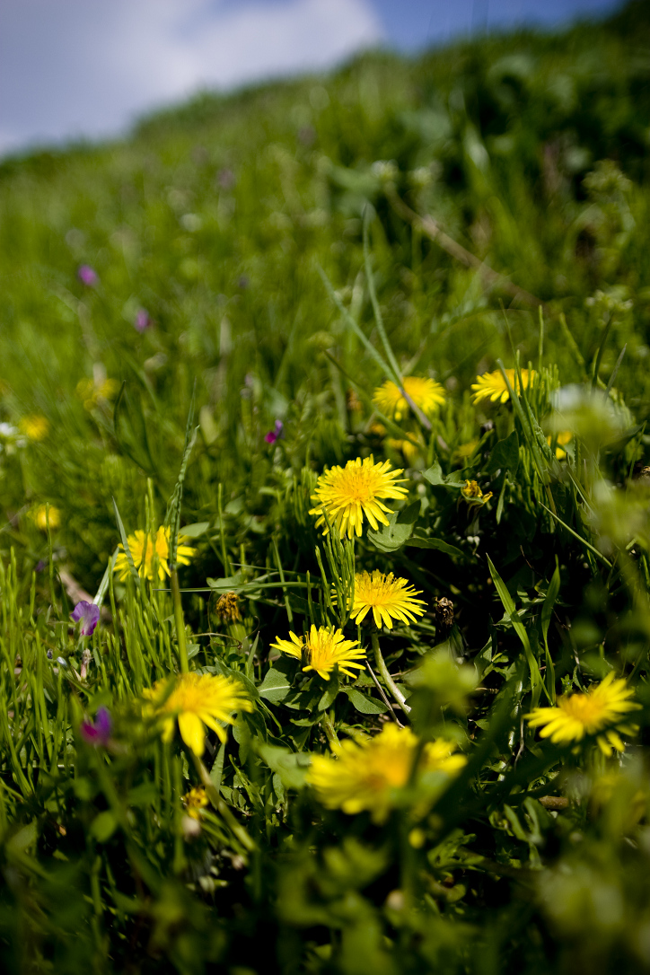 d0141053_21582674.jpg