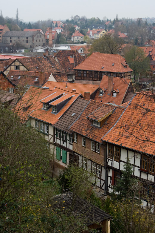 d0002958_7203676.jpg