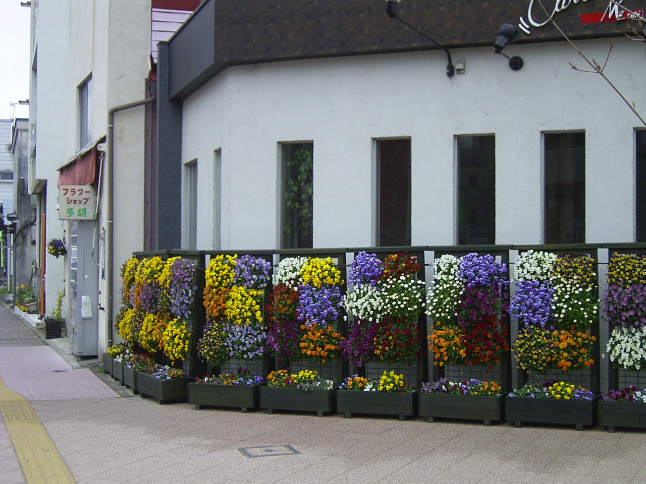 d0117565_23381789.jpg