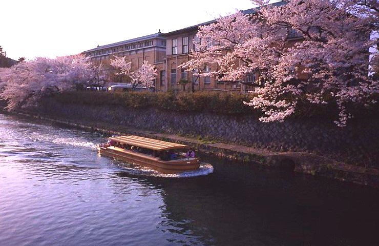 f0055668_53773.jpg